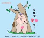 圖片